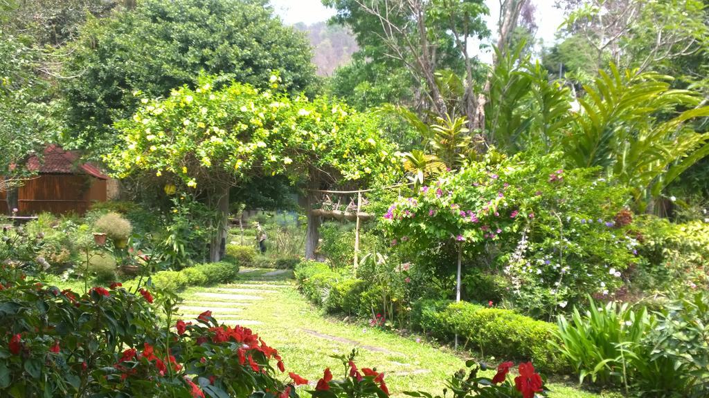 Bulunburi Resort Chiang Mai Exterior foto